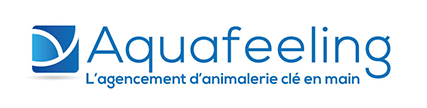 Actif Image